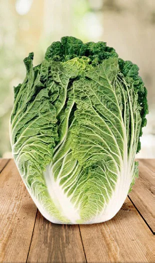 Dá para Cultivar Acelga com Pouca Luz? passo a passo