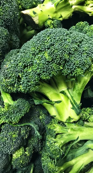 Dá para Cultivar Brócolis com Pouca Luz? passo a passo