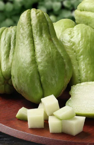 Dá para Cultivar Chuchu com Pouca Luz? passo a passo