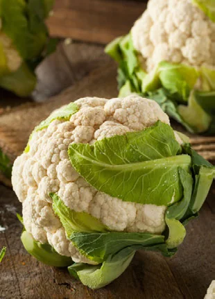Dá para Cultivar Couve-flor com Pouca Luz? passo a passo