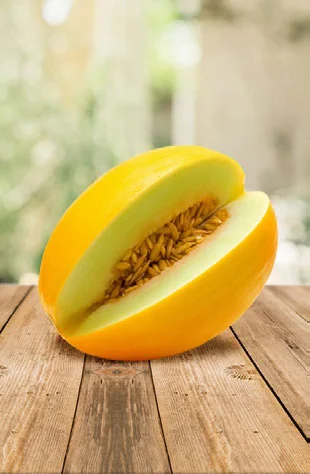 Dá para Cultivar Melão com Pouca Luz? passo a passo