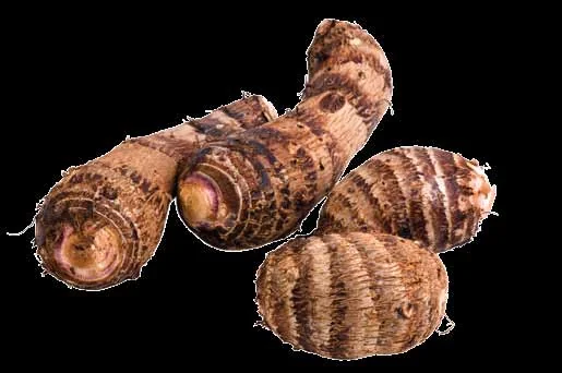 Taro Murchando: O Que Fazer para Salvar? passo a passo